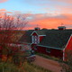 Illustration for article titled 100 Gorgeous Photos Of Fall Leaves